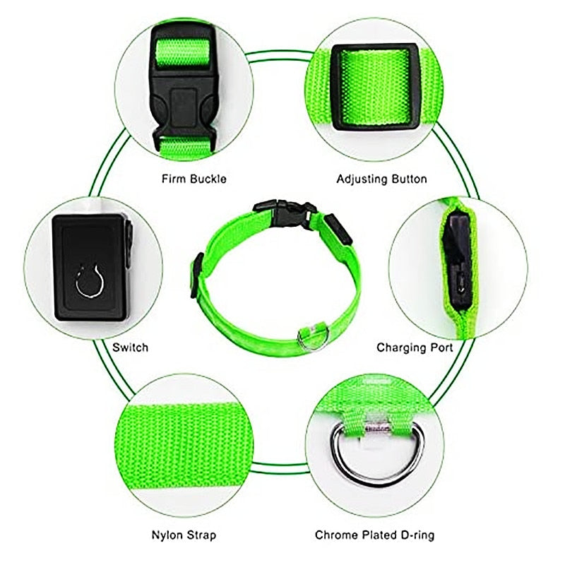 LED Rechargeable Glowing Dog Collar for Outdoor Fun and Safety