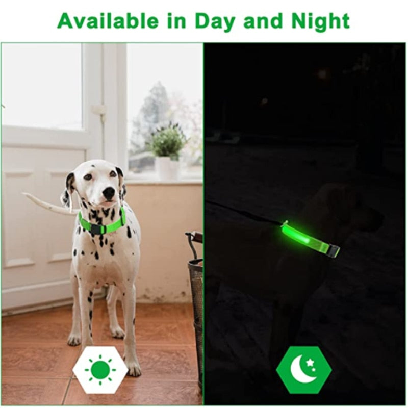 LED Rechargeable Glowing Dog Collar for Outdoor Fun and Safety