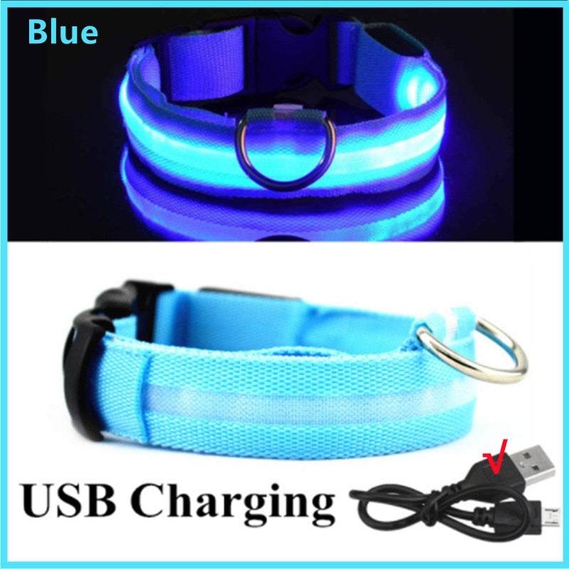 LED Rechargeable Glowing Dog Collar for Outdoor Fun and Safety