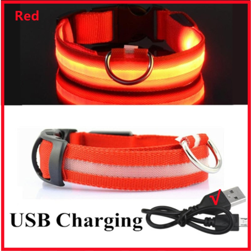 LED Rechargeable Glowing Dog Collar for Outdoor Fun and Safety