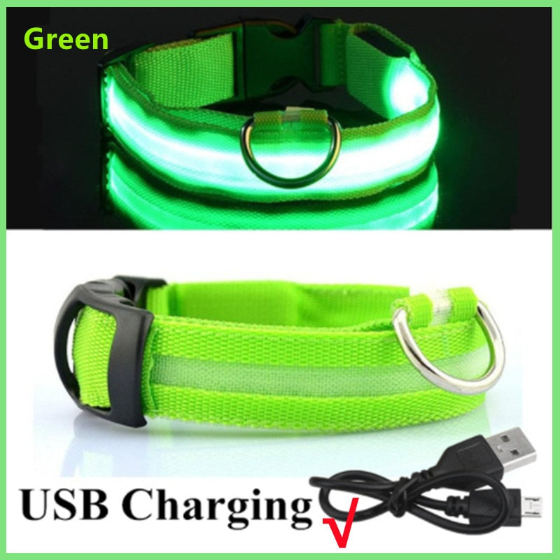 LED Rechargeable Glowing Dog Collar for Outdoor Fun and Safety