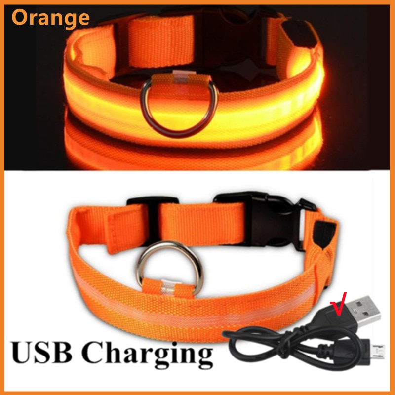 LED Rechargeable Glowing Dog Collar for Outdoor Fun and Safety