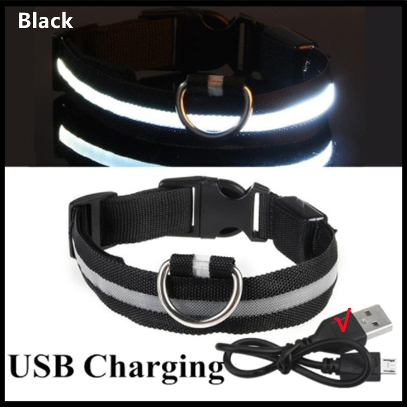 LED Rechargeable Glowing Dog Collar for Outdoor Fun and Safety