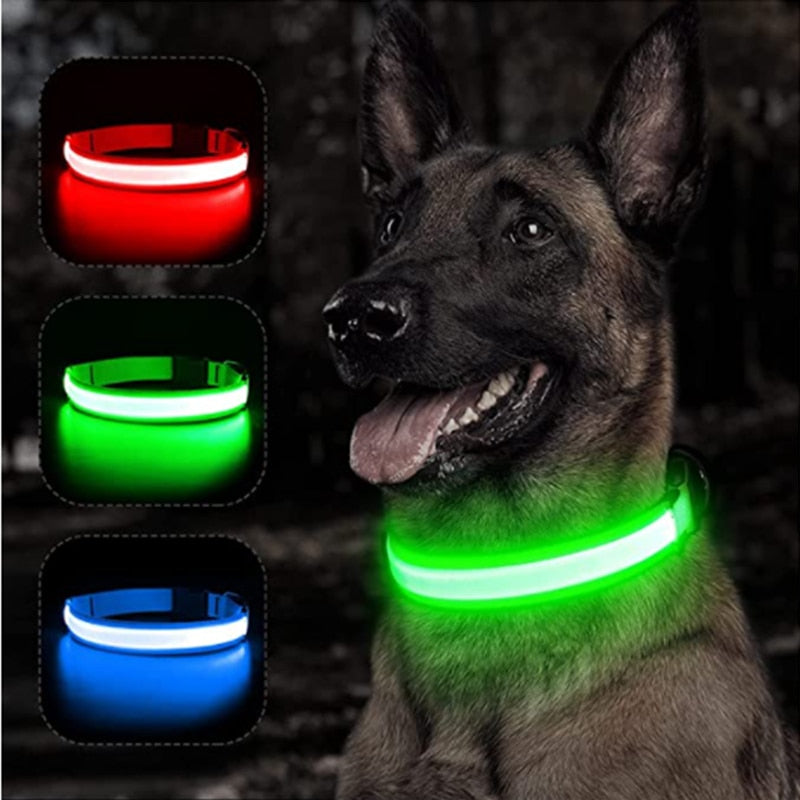 LED Rechargeable Glowing Dog Collar for Outdoor Fun and Safety