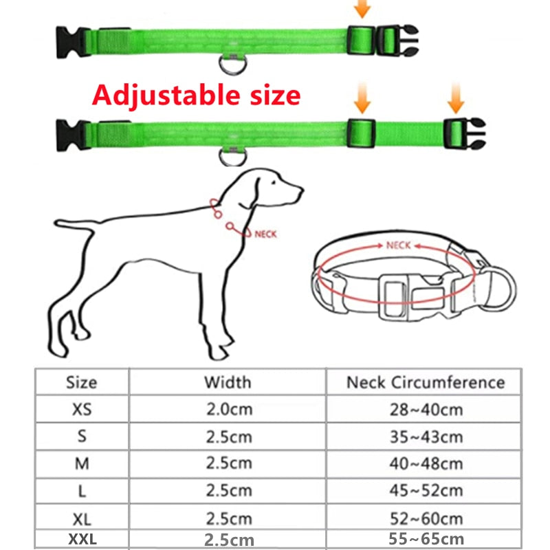 LED Rechargeable Glowing Dog Collar for Outdoor Fun and Safety