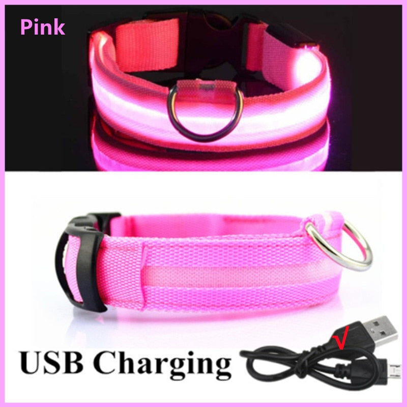 LED Rechargeable Glowing Dog Collar for Outdoor Fun and Safety