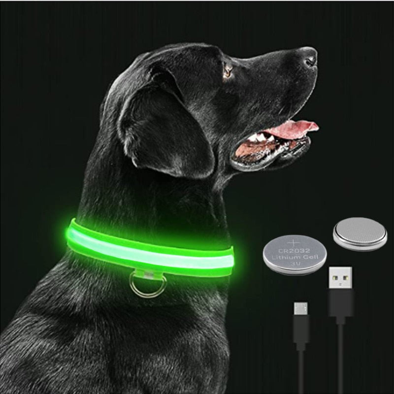 LED Rechargeable Glowing Dog Collar for Outdoor Fun and Safety